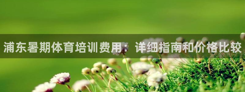 尊龙客服：浦东暑期体育培训费用：详细指南和价格比较