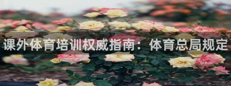 尊龙官网网站：课外体育培训权威指南：体育总局规定