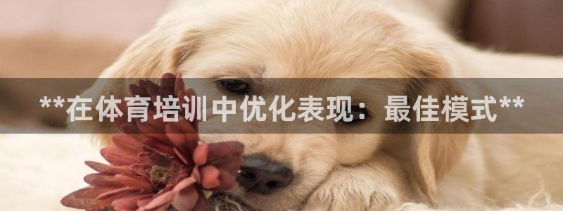 尊龙凯时游戏厅：**在体育培训中优化表现：最佳模式*