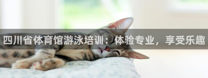 尊龙凯时官网版登录：四川省体育馆游泳培训：体验专业，