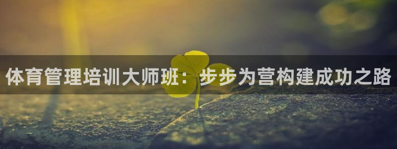 d88尊龙手机登录下载：体育管理培训大师班：步步为营