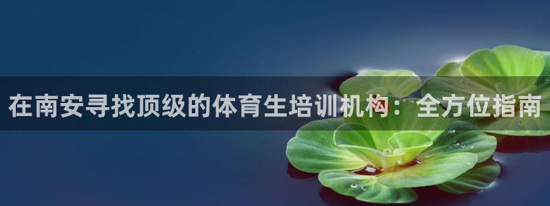 K66凯时国际平台官网：在南安寻找顶级的体育生培训机
