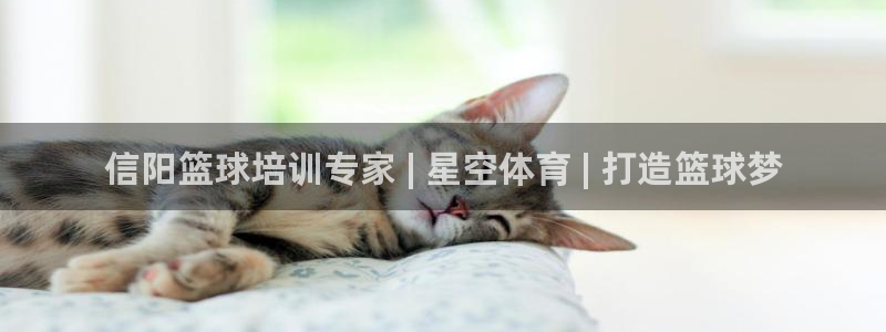 凯时国际app首页下载：信阳篮球培训专家 | 星空体