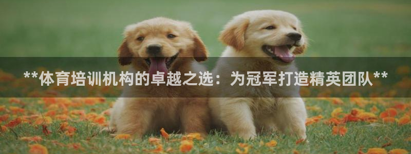 尊龙官网网页版：**体育培训机构的卓越之选：为冠军打