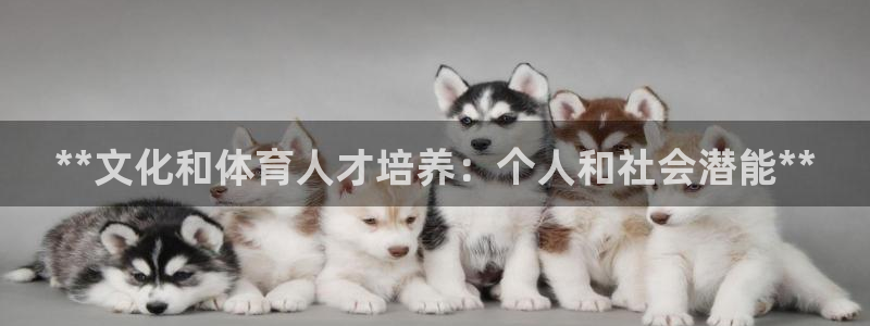 凯时在线平台官网：**文化和体育人才培养：个人和社会