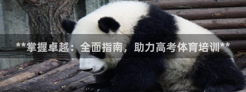 尊龙游戏官方网：**掌握卓越：全面指南，助力高考体育