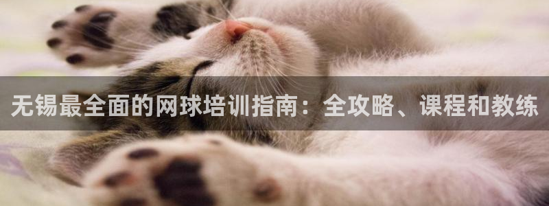 尊龙z6集团：无锡最全面的网球培训指南：全攻略、课程