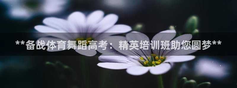 尊龙凯时的生产设备：**备战体育舞蹈高考：精英培训班
