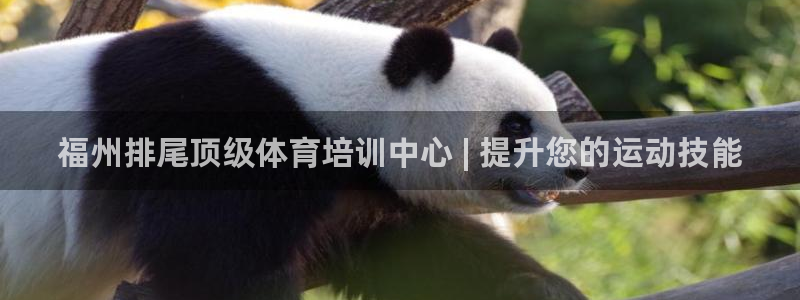 尊龙ag旗舰厅官网登录：福州排尾顶级体育培训中心 |