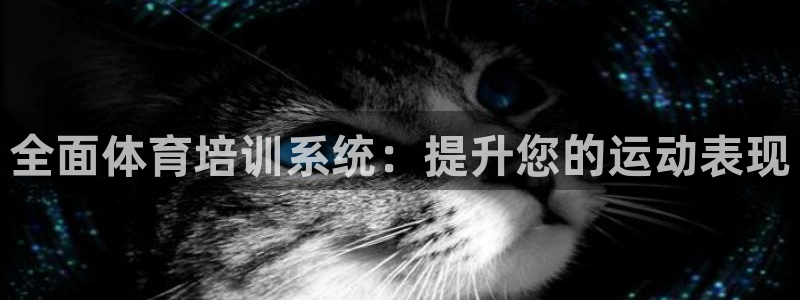尊龙平台登录：全面体育培训系统：提升您的运动表现
