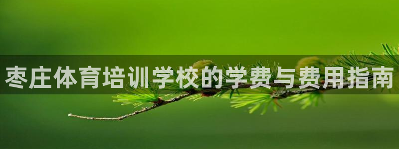 尊龙凯时登陆：枣庄体育培训学校的学费与费用指南