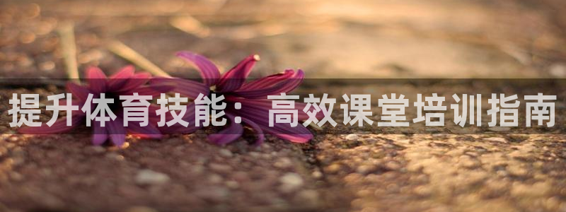 尊龙 10：提升体育技能：高效课堂培训指南