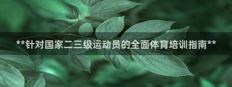 尊龙传奇英文怎么写：**针对国家二三级运动员的全面体