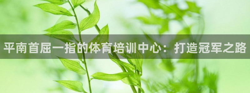 尊龙凯时人生就是博官网登录：平南首屈一指的体育培训中