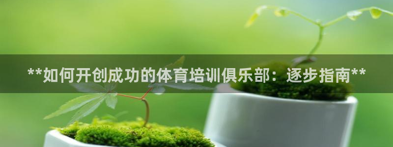 尊龙人生就是博中国区：**如何开创成功的体育培训俱乐
