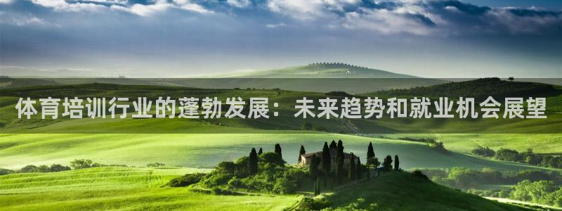 凯时ag旗舰厅网址是什么：体育培训行业的蓬勃发展：未