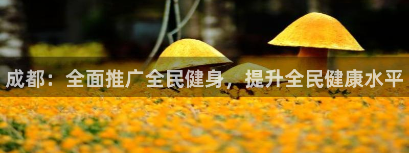 尊龙休闲e站怎么样