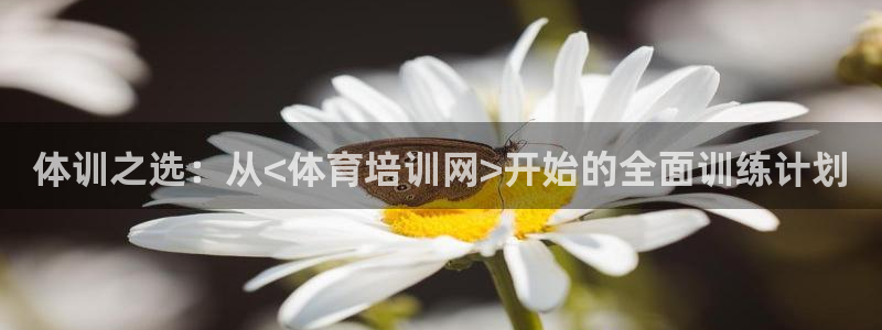 尊龙下载推荐网站