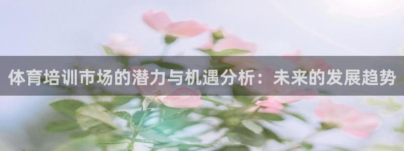 尊龙400