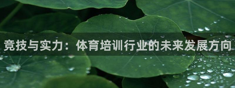 尊龙凯时存款不上分