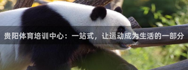 KB88凯时官网