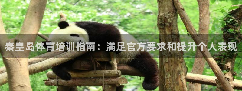尊龙人生就是博ag旗舰厅：秦皇岛体育培训指南：满足官