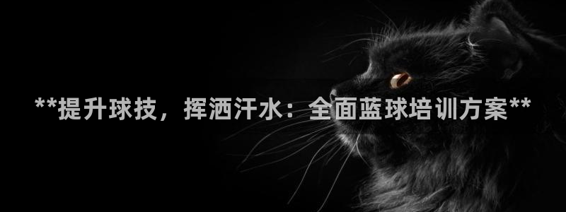尊龙官方：**提升球技，挥洒汗水：全面蓝球培训方案*