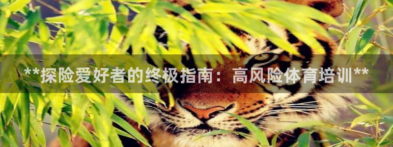 凯时平台怎么样：**探险爱好者的终极指南：高风险体育