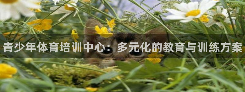 尊龙凯时 人生就是搏!