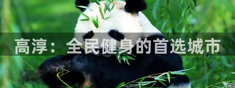 尊龙凯时怎么注销账号