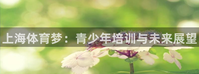 尊龙凯时人生就是博游戏网站：上海体育梦：青少年培训与