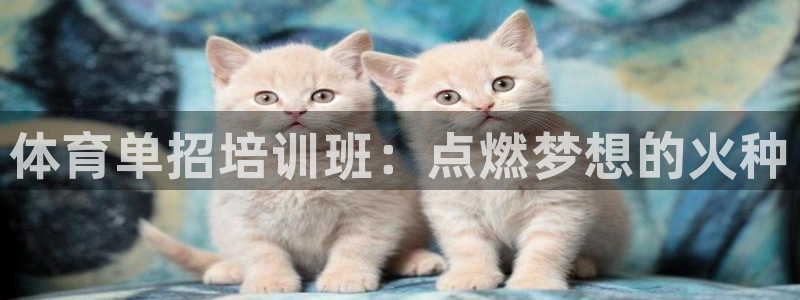尊龙凯时是哪个国家的：体育单招培训班：点燃梦想的火种