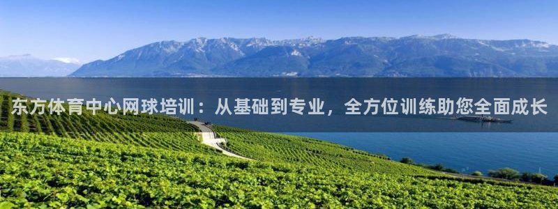 Ag尊龙平台：东方体育中心网球培训：从基础到专业，全方位训练