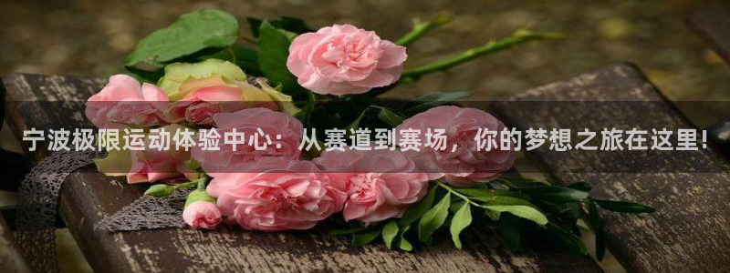 尊龙凯时网娱乐最新版：宁波极限运动体验中心：从赛道到