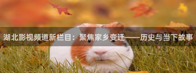 河马视频网页版