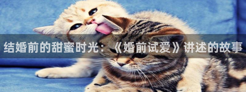 酷河马视频