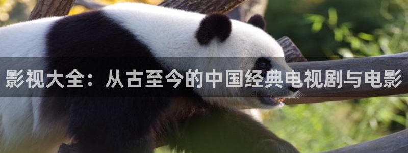 河马在线：影视大全：从古至今的中国经典电视剧与电影