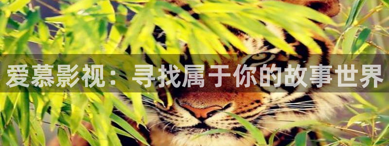 河马视频免费看电视剧：爱慕影视：寻找属于你的故事世界